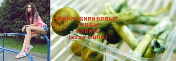 ALPHA PVP Белокуриха
