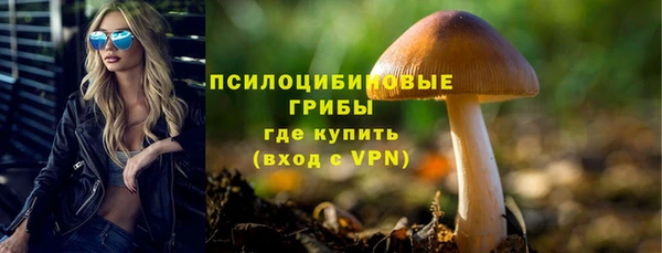 твердый Балахна