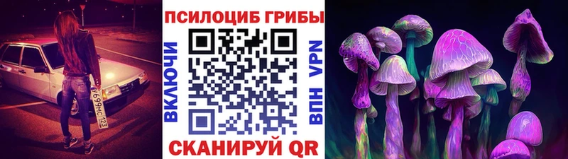 цены наркотик  Ясногорск  Псилоцибиновые грибы Psilocybine cubensis 