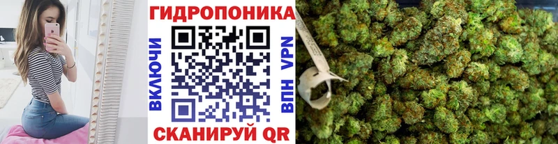 Марихуана THC 21%  купить наркотик  Ясногорск 